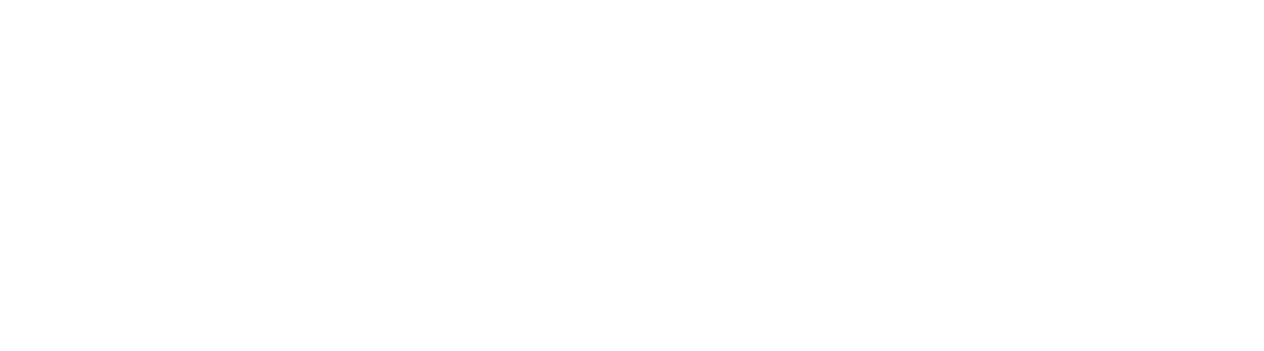 Timely Logo